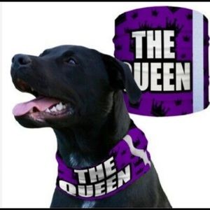 2 SA reflective dog bandannas / scarf